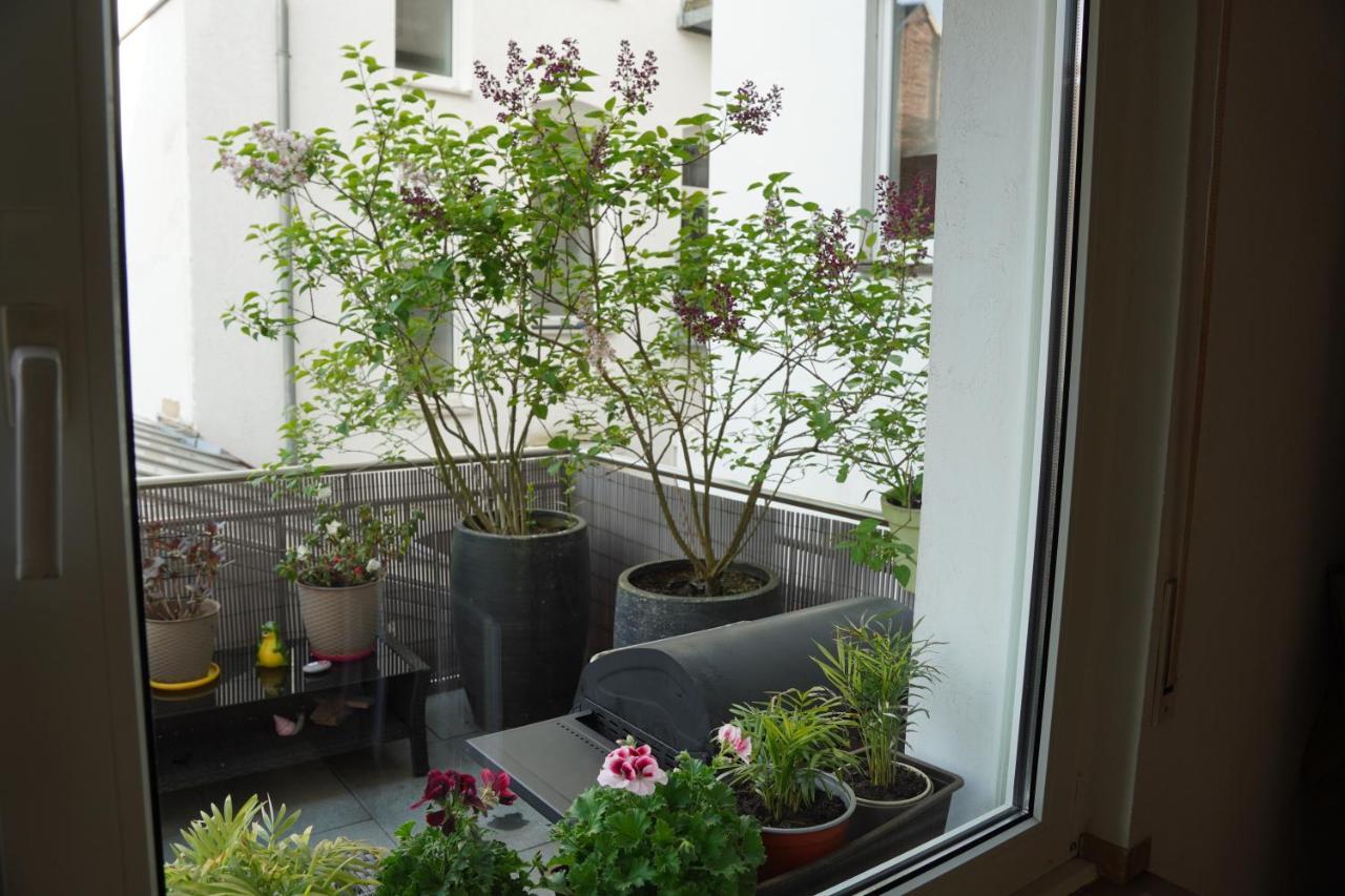 Bright, Spacious Apartment With A Lovely Terrace In The Heart Of Aachen Dış mekan fotoğraf